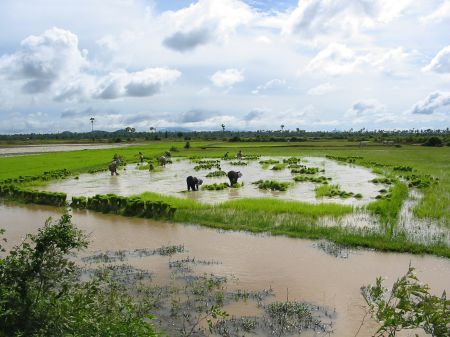 Tonle Bati